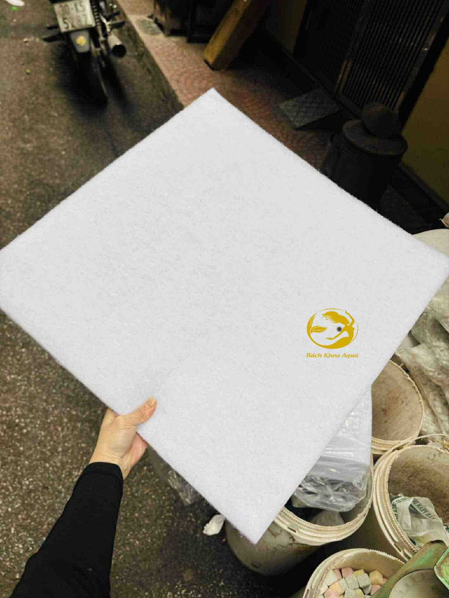 Bông lọc trắng miếng 50x50cm